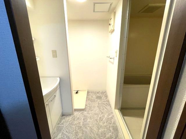 Green Villa Goryo　の洗面所