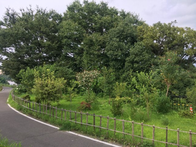 【その他】 | 【積水ハウス施工】群馬県前橋市下新田町　平屋戸建