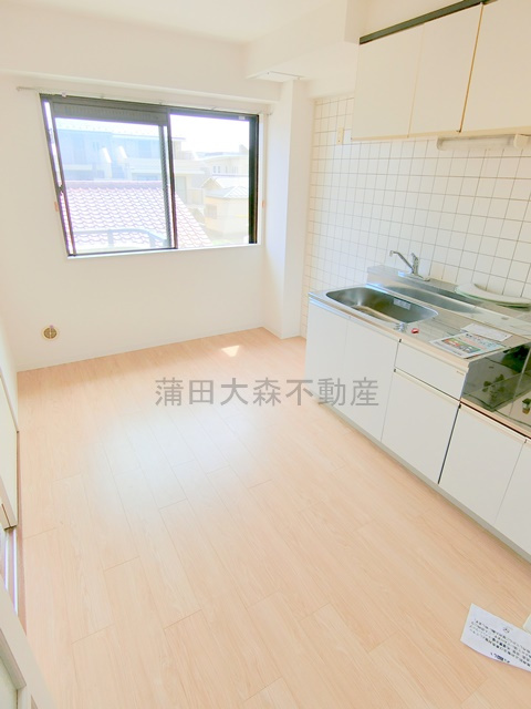 レジデンス池上の洗面所