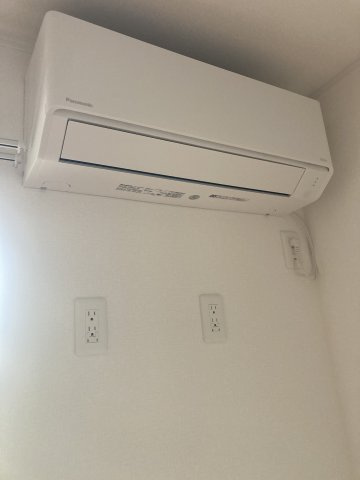 Stella Iのその他