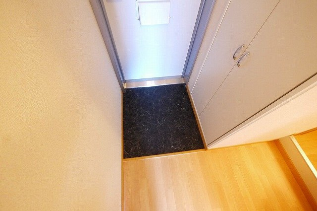 レオパレスビューヒルズテンの玄関