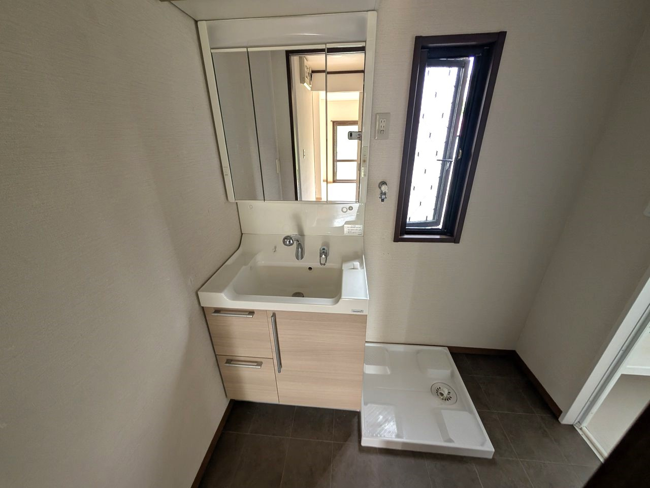 テラスハウス羽中の洗面所