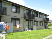 ファミーカルムの画像