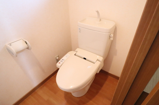 熊本市南区近見６丁目の賃貸マンションのトイレ