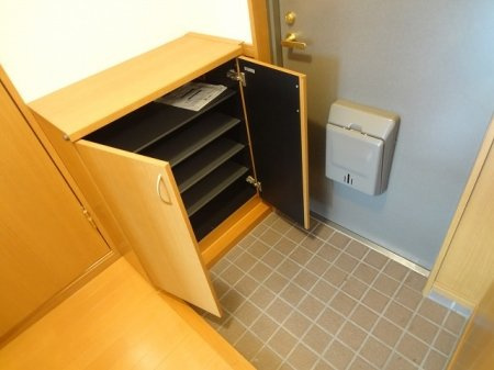 熊本市南区近見６丁目の賃貸マンションの玄関