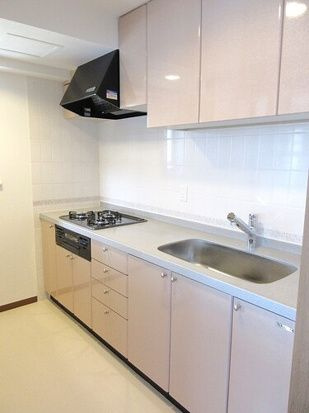 ライオンズプラザ池之端のキッチン