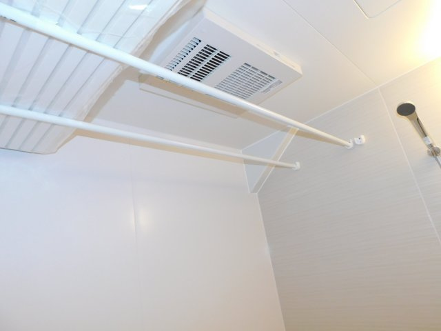 キョウナンチョウのその他