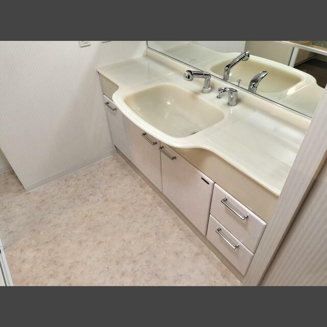 デリードヴィンテージ芦屋川山手光風館の洗面所