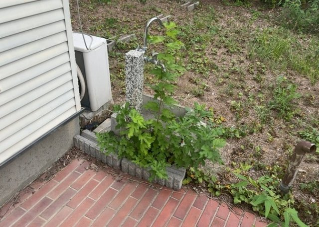 【設備】 | 敷地内に散水栓や立水栓があると便利です。水道水を直接利用できるため、水を運ぶ手間を省くことが出来ます。大量の水を必要とする洗車作業や清掃などに役立ちます。その他設備とあわせて、現地でご確認ください。