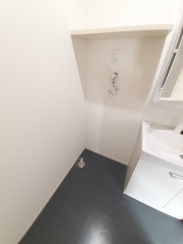 ベロニカのその他