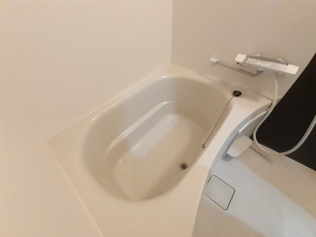 ベロニカの浴室