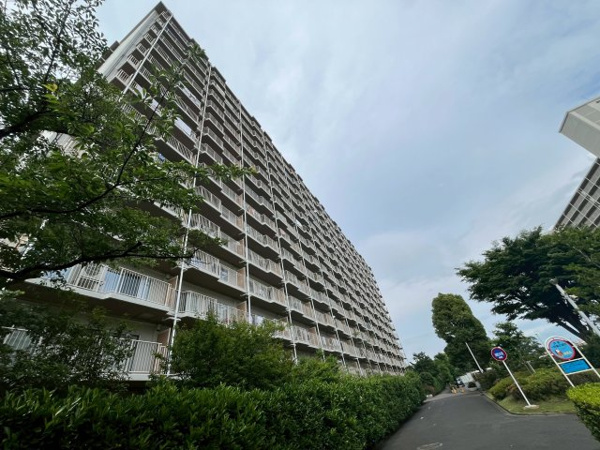 ボナハイツ中川３号棟の画像