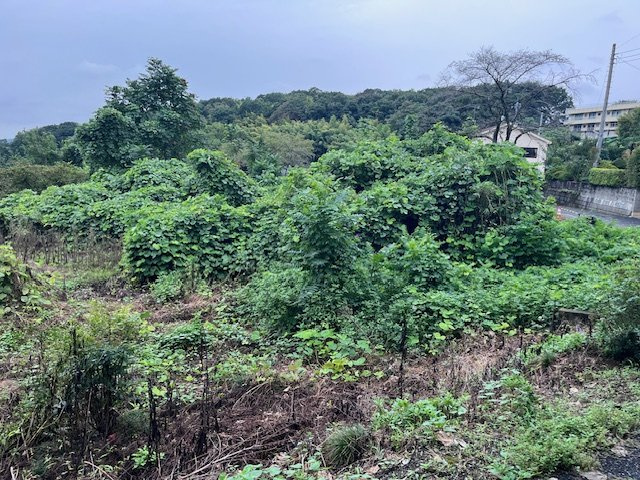 足利市葉鹿町売地