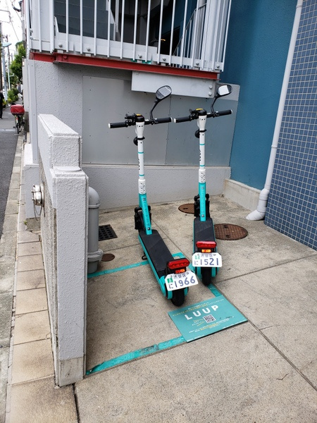 マートルコート駒沢大学　駒沢大学・駒沢公園徒歩圏内　Luup有　24時間ゴミ出し可　のその他共用部分