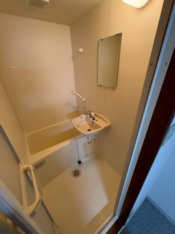 大阪市西区新町１丁目の賃貸マンションのシャワールーム