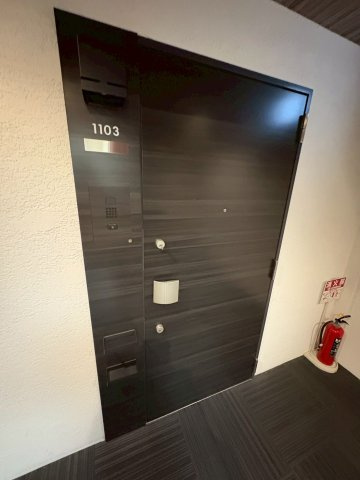 大阪市西区京町堀１丁目の賃貸マンションの玄関