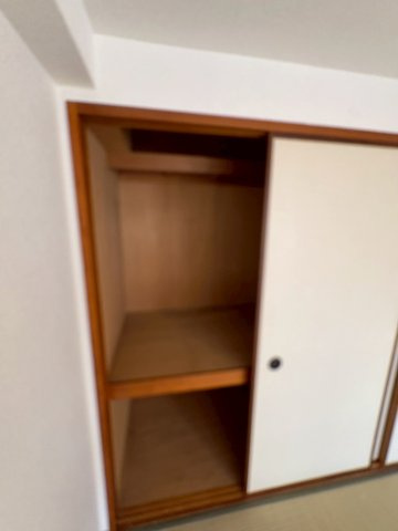 大阪市西区京町堀３丁目の賃貸マンションの収納