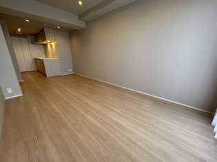 ラピタス31西宮の居間