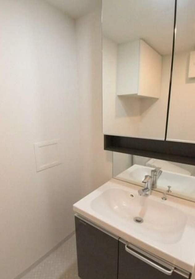 ＧＥＮＯＶＩＡ東中野ｓｋｙｇａｒｄｅｎの洗面所