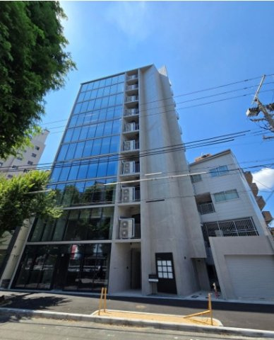 Ｓｏｌｅａ　ｎａｋａｚａｋｉ