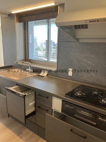 代田パークハウス　ペット相談　大型2LDK　駐車場のキッチン