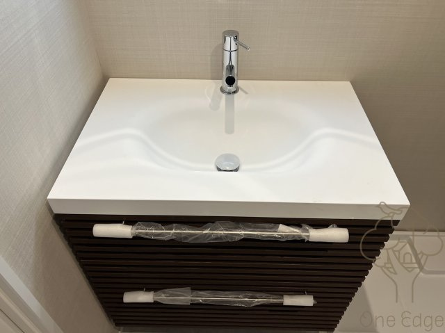 ブエナビスタ梅田イーストの洗面所