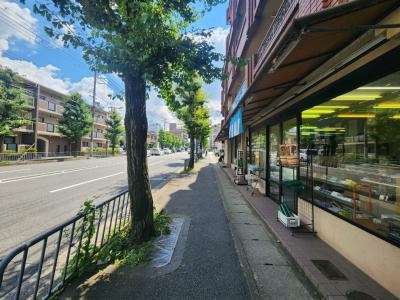 ハイライフ嵯峨の地図|前面道路