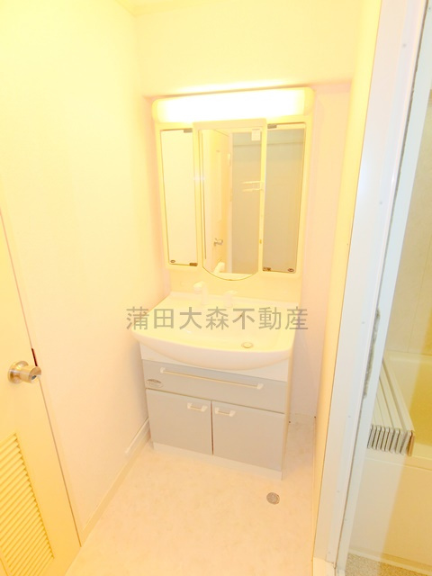 ビレッタ仲六郷の洗面所|独立洗面台