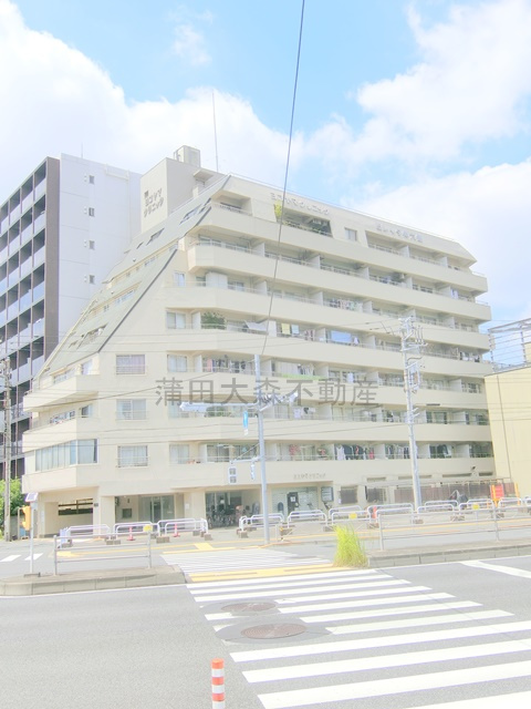 ビレッタ仲六郷の外観