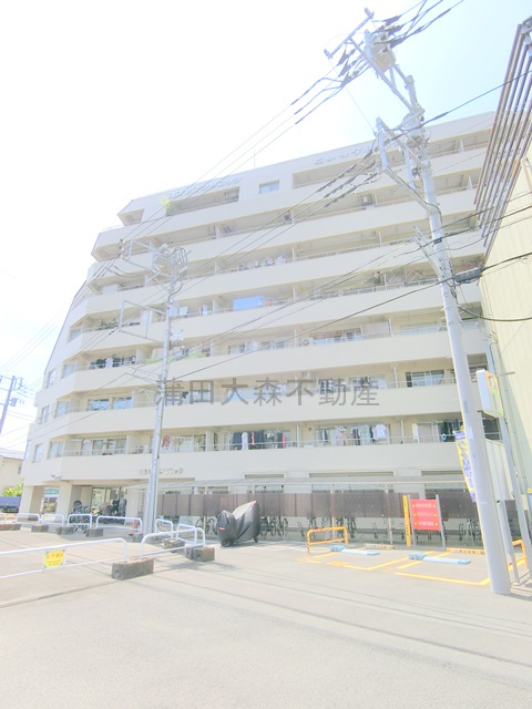 ビレッタ仲六郷の外観