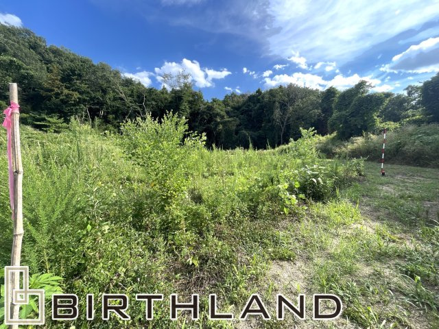 西田町芹沢字向山　住宅用地