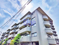 フィールドサンの画像