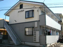 シングルスの画像