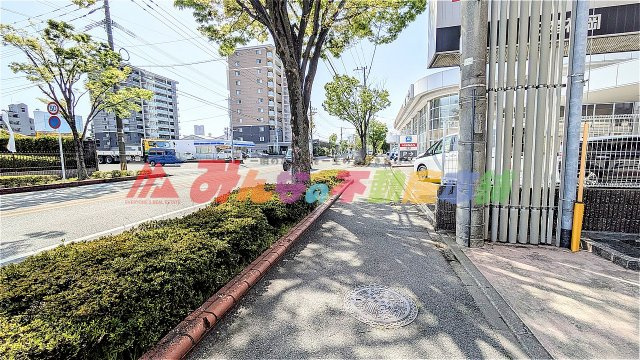 ナポレ久留米けやき通りの周辺|良い散歩コースになりそうです。