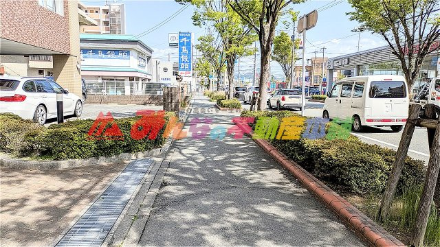 ナポレ久留米けやき通りの周辺|広い歩道は安心です。