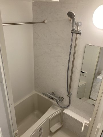 LANDIC PREMIUM HAKATAの浴室