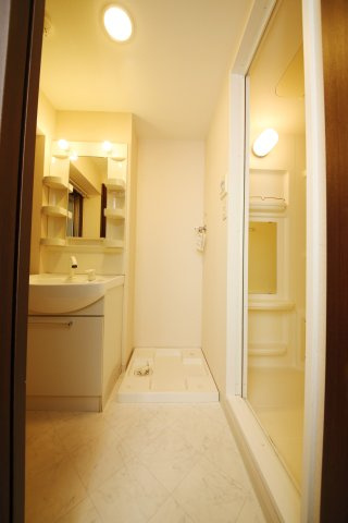 キャッスル常滑　南棟の洗面所