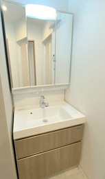 プレサンスNEO九条ディアシスの洗面所