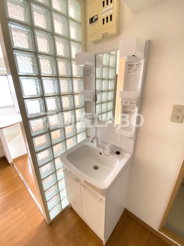 ドムール九条の洗面所