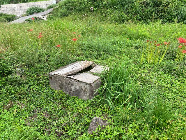 国東町原　土地の外観