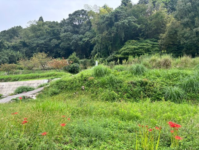 国東町原　土地の周辺
