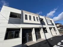 ドエル・アイリスの画像