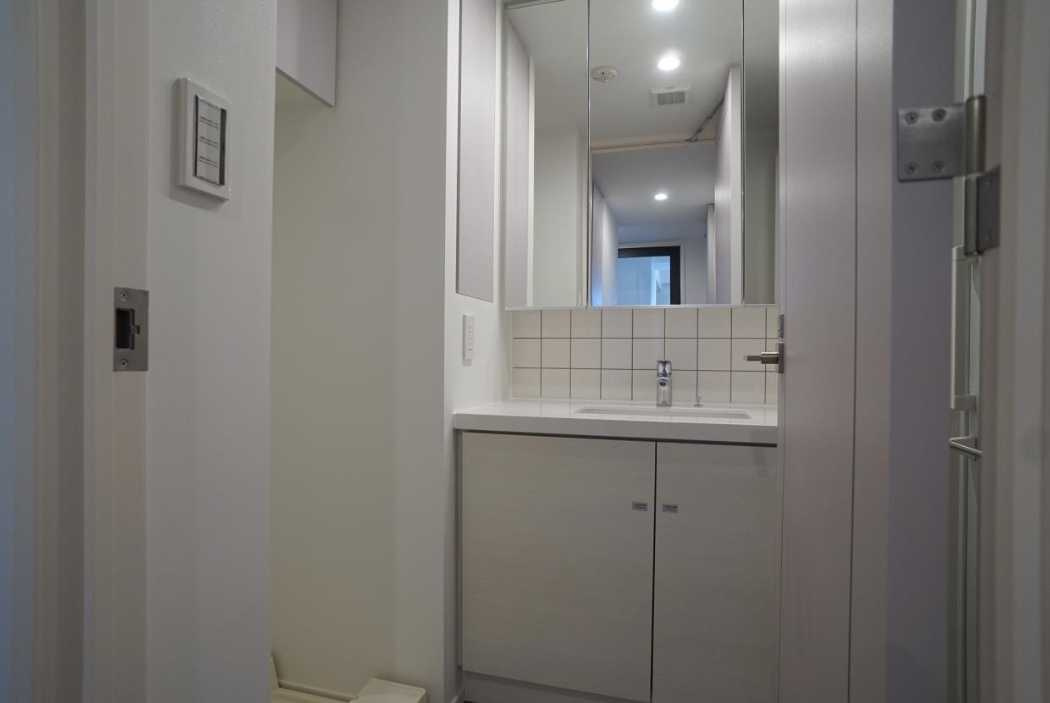 ザ・パークハビオ神泉　築浅　ペット相談可　楽器相談可　の洗面所