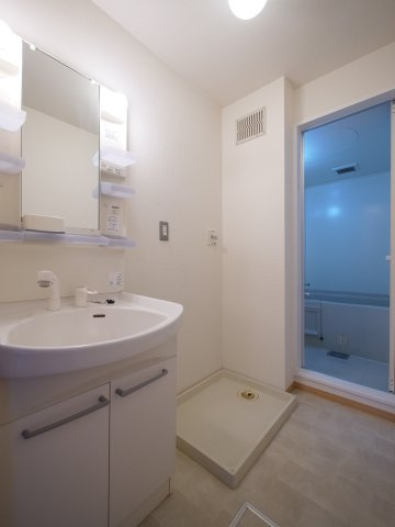 アムールA棟の洗面所