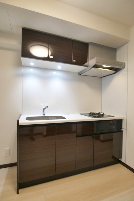 GENOVIA 東神田 green veilの内装|きれいな内装です