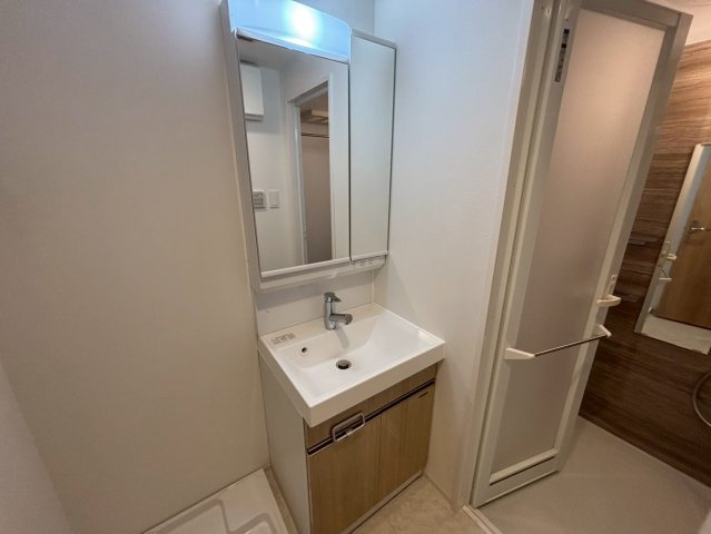 ディアレイシャス丸の内|名古屋市の賃貸ならMy賃貸の洗面所|ディアレイシャス丸の内