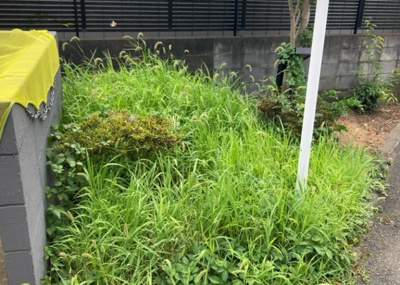 【中庭】 | ネオマイム相武台 | 中庭（パティオ）とは、一つの建築物の内部に設けられた、壁などで囲われている庭のことを指します。コの字型、ロの字型が主流ですが、L字型の中庭もあります。最近では、インテリア性の高さからも人気があります。