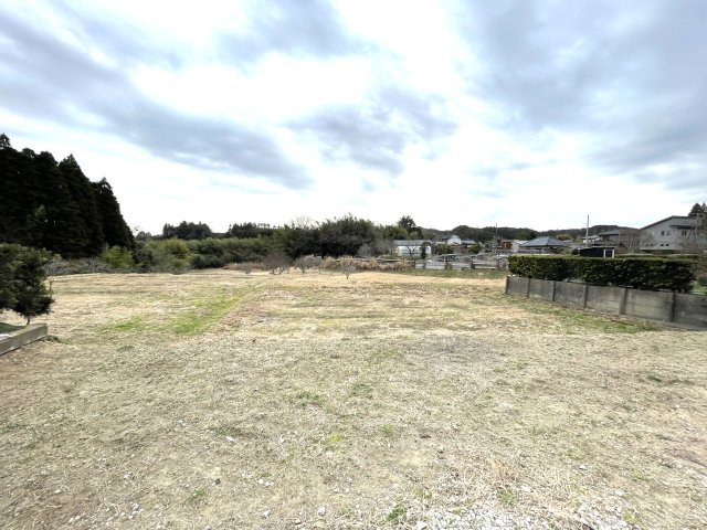 いすみ市行川　戸建賃貸の庭