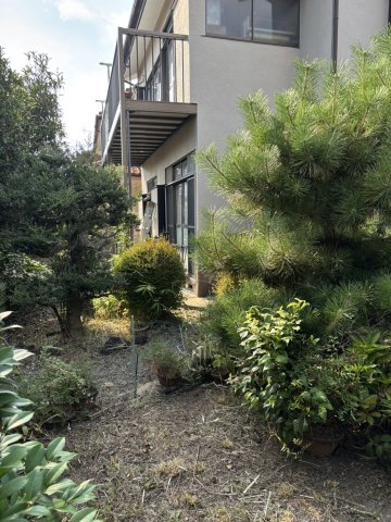 【周辺】の画像