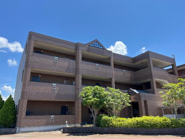 ＳＡＫＵＲＡ（サクラ）